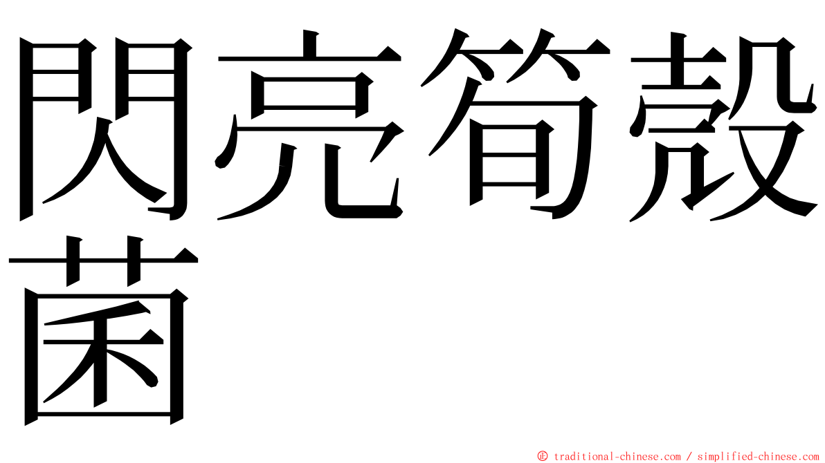閃亮筍殼菌 ming font