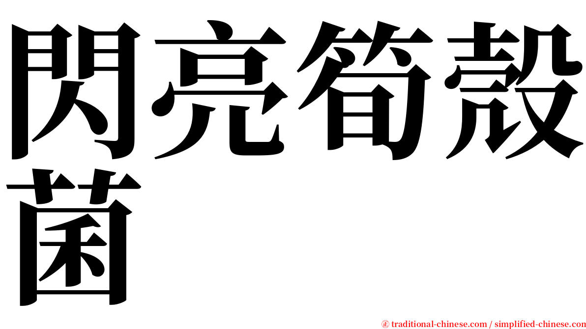 閃亮筍殼菌 serif font