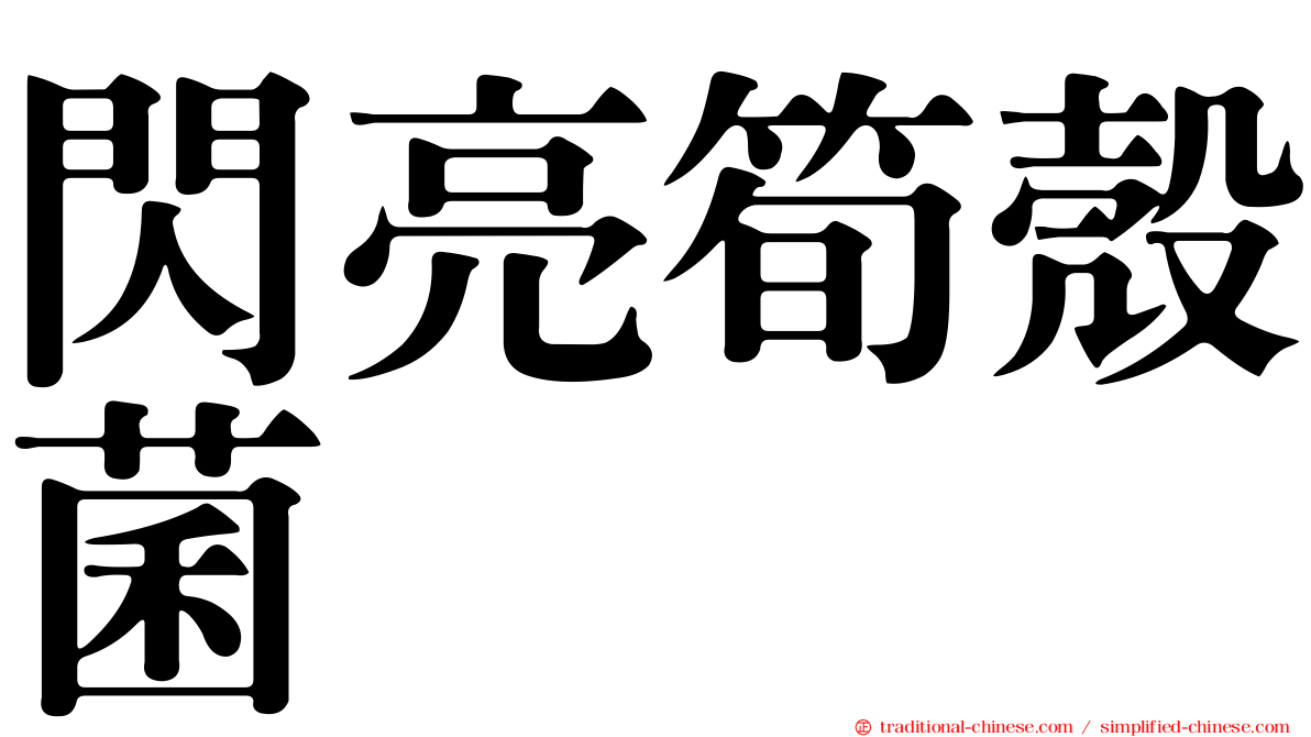 閃亮筍殼菌