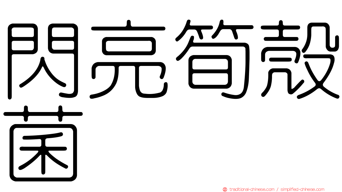 閃亮筍殼菌
