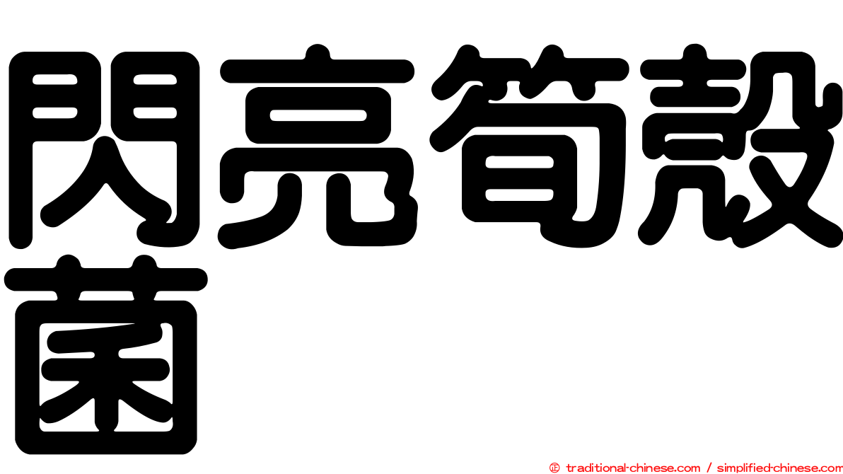 閃亮筍殼菌