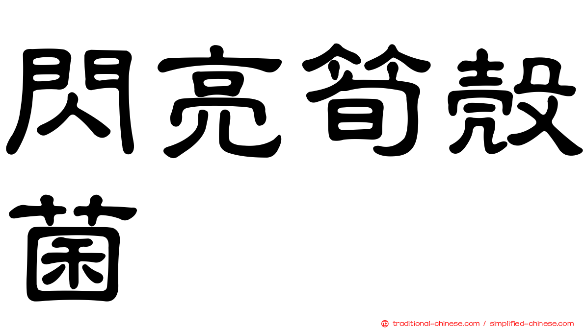 閃亮筍殼菌