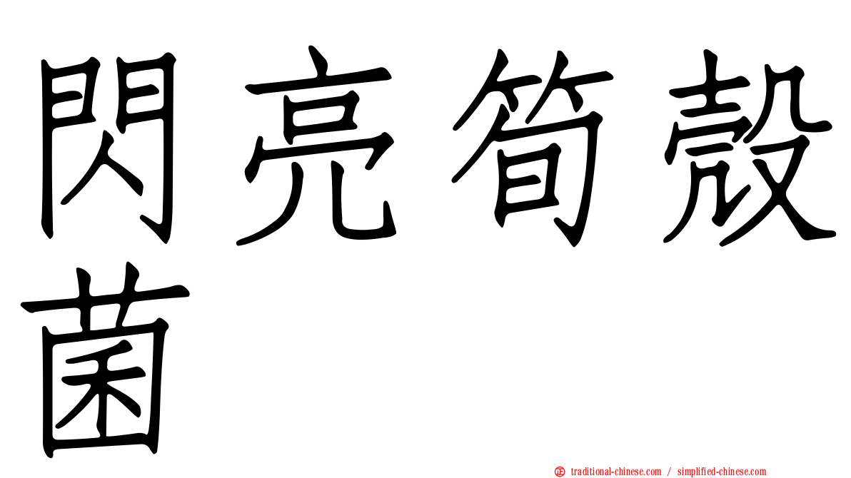 閃亮筍殼菌