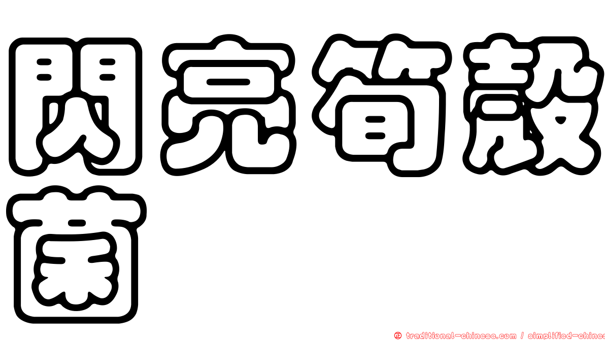閃亮筍殼菌