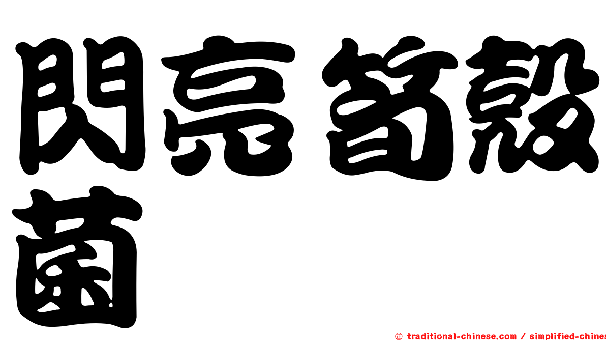 閃亮筍殼菌