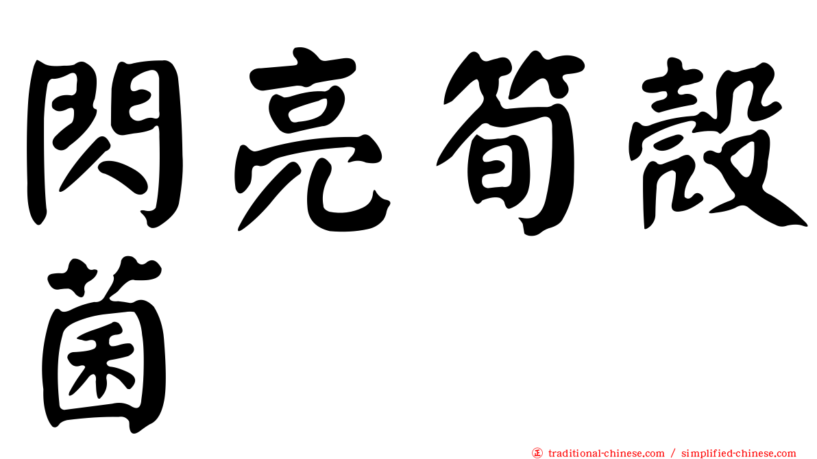 閃亮筍殼菌