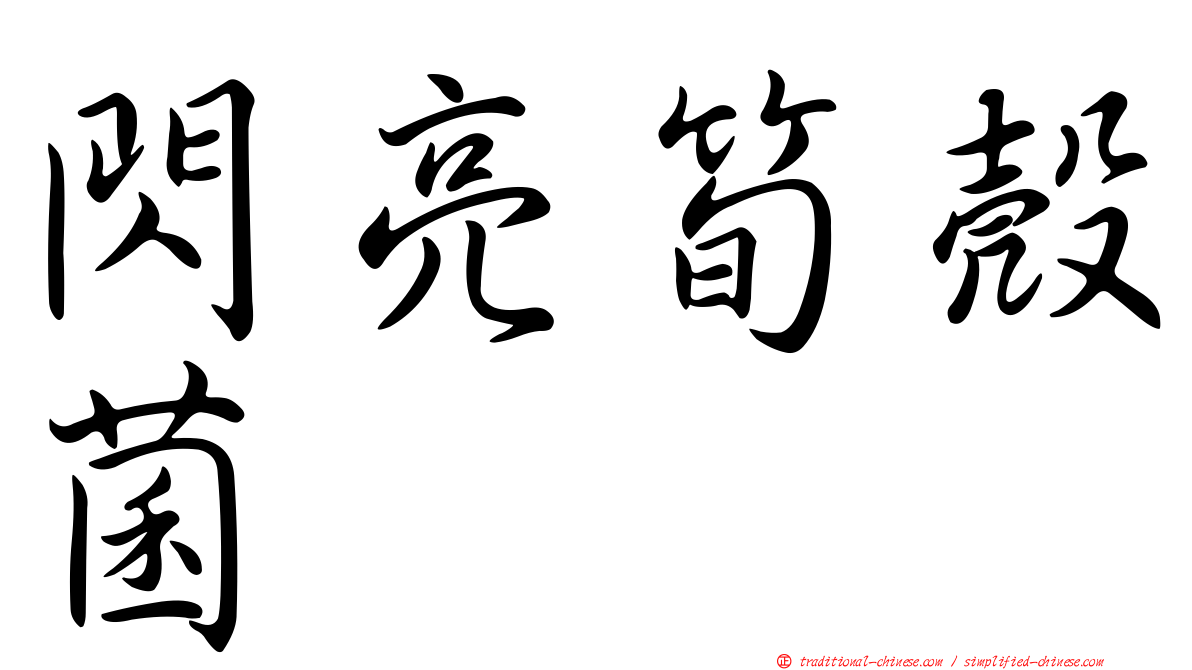 閃亮筍殼菌
