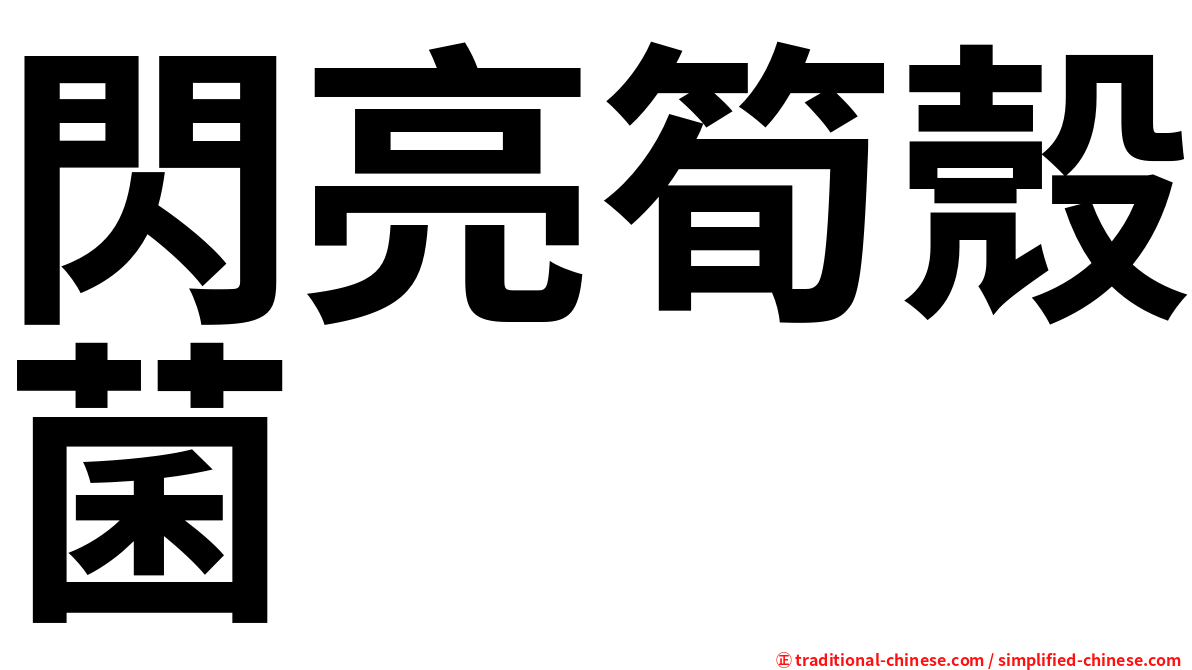 閃亮筍殼菌