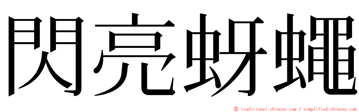 閃亮蚜蠅 ming font