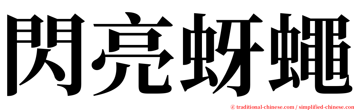 閃亮蚜蠅 serif font