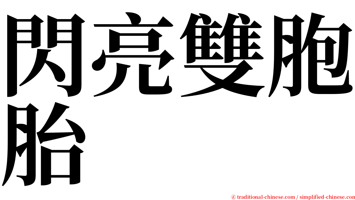 閃亮雙胞胎 serif font