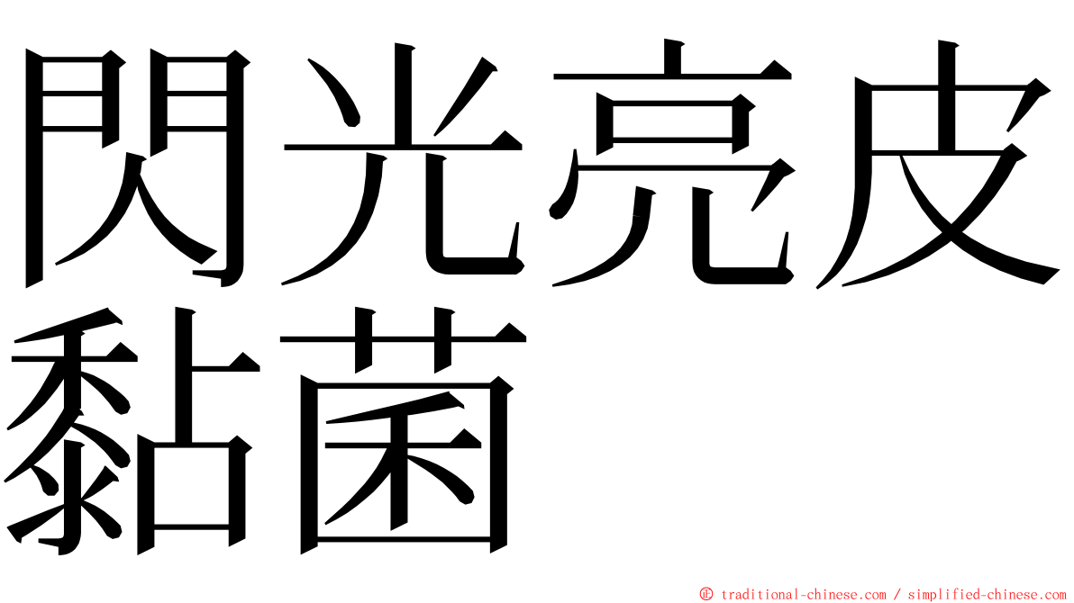 閃光亮皮黏菌 ming font