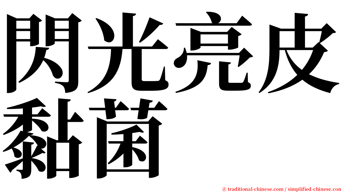 閃光亮皮黏菌 serif font