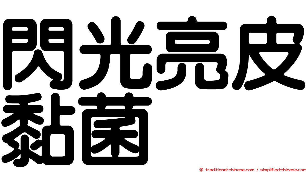 閃光亮皮黏菌