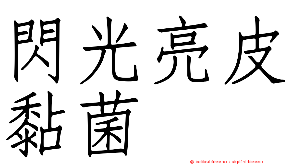 閃光亮皮黏菌