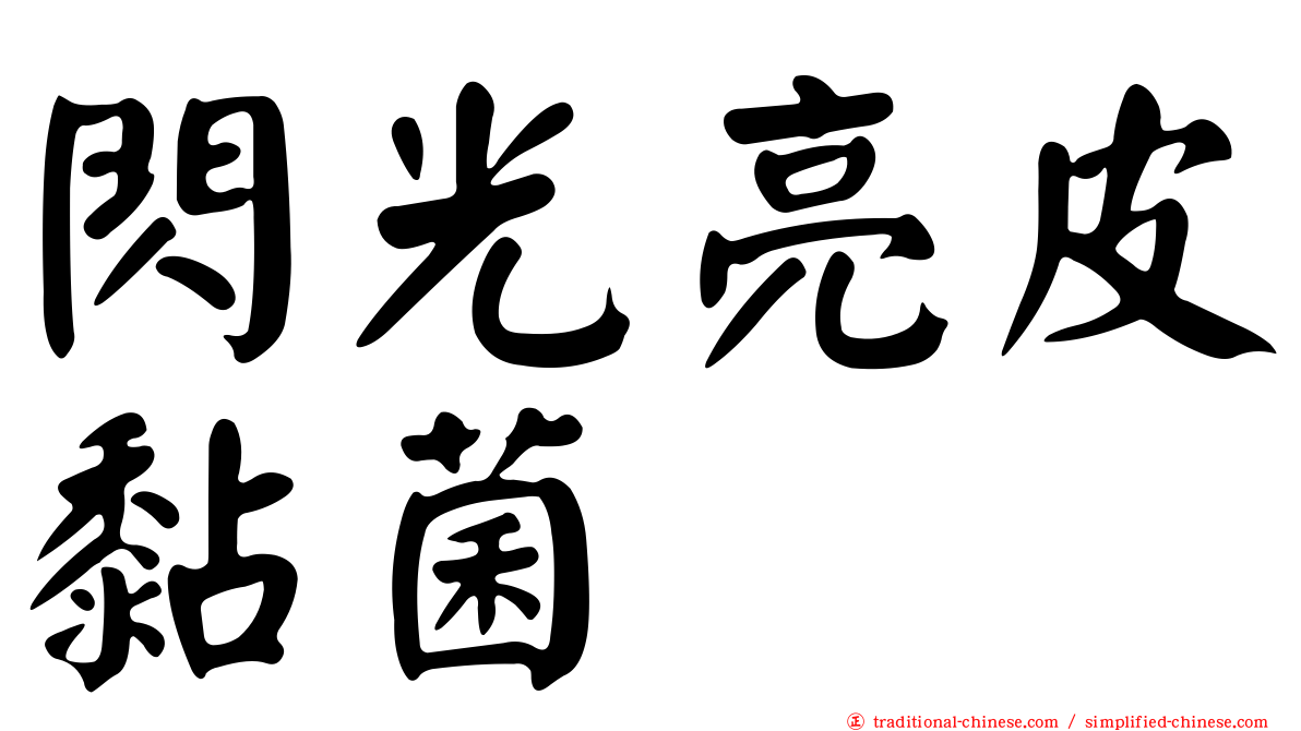 閃光亮皮黏菌