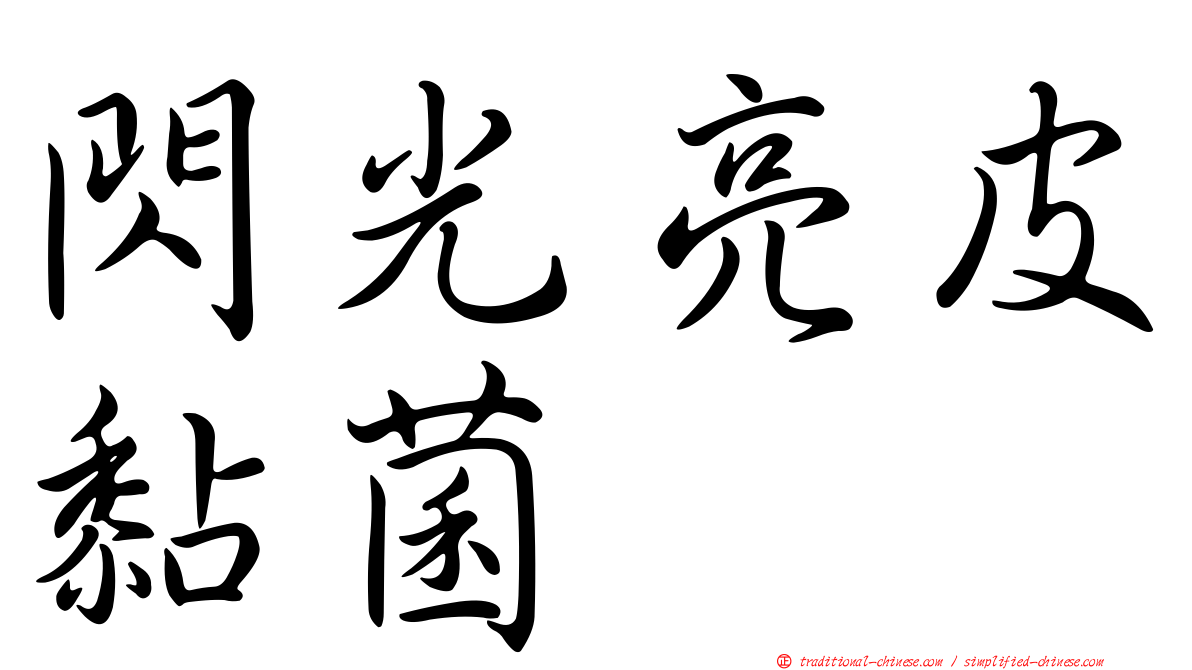 閃光亮皮黏菌