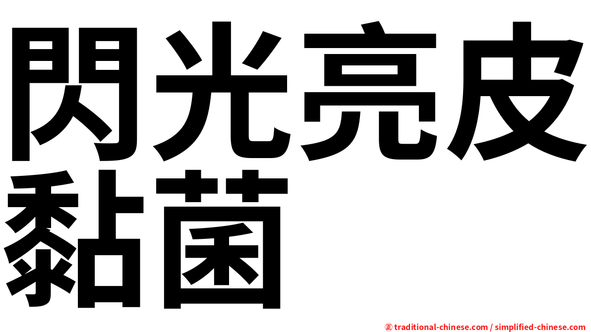 閃光亮皮黏菌