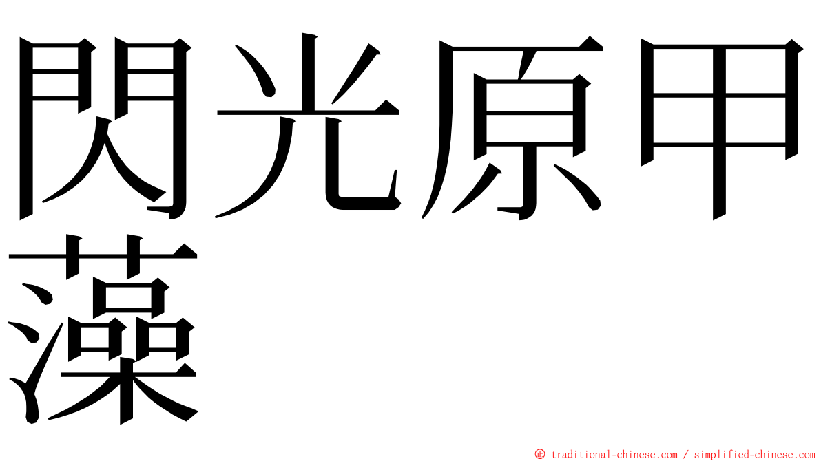 閃光原甲藻 ming font