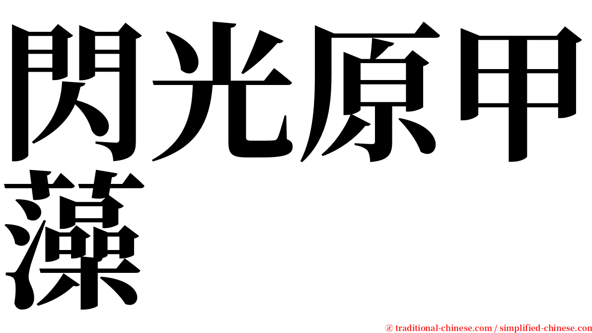 閃光原甲藻 serif font