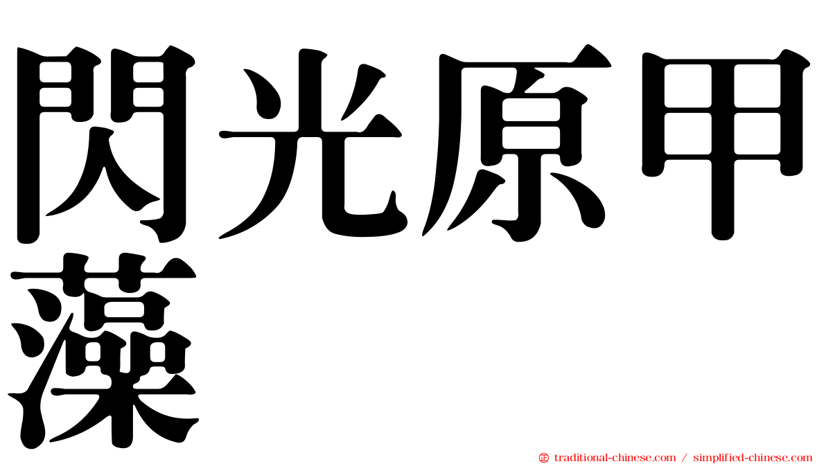 閃光原甲藻