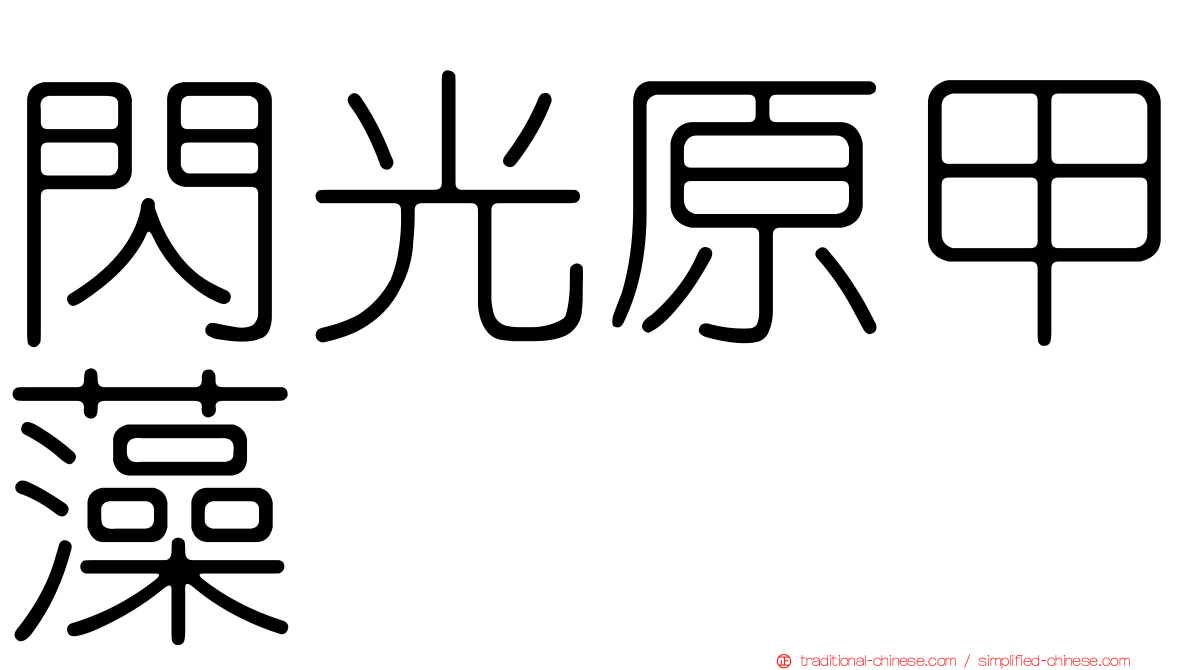 閃光原甲藻
