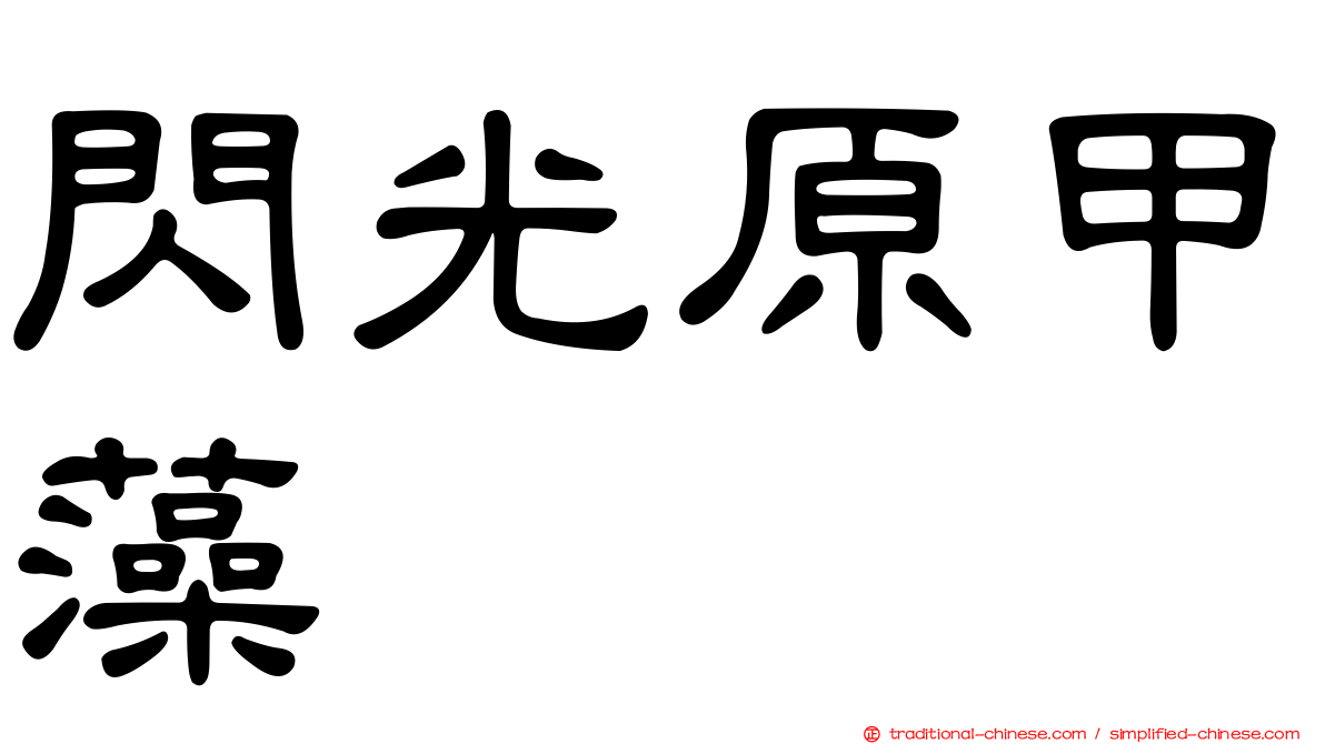 閃光原甲藻