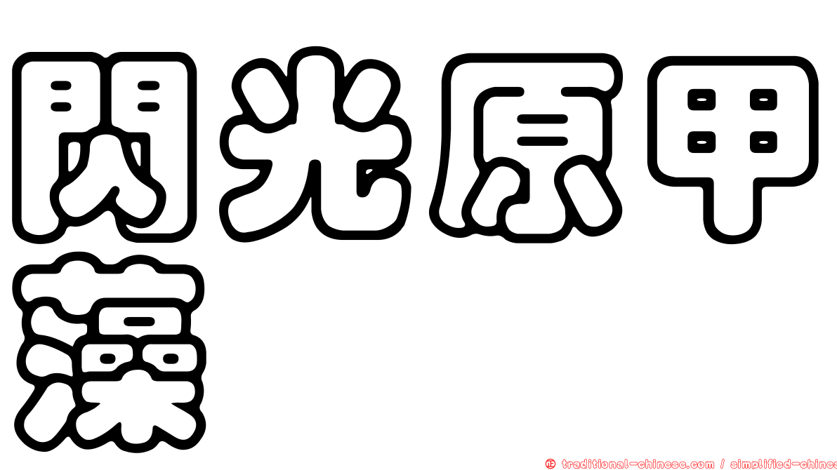 閃光原甲藻