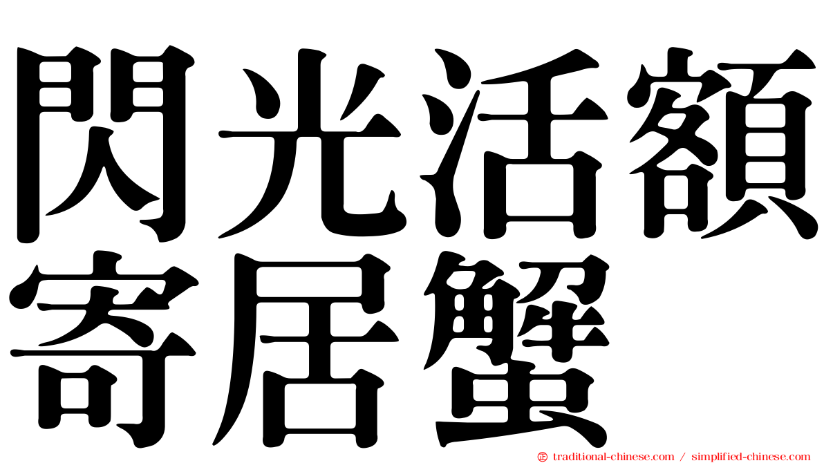 閃光活額寄居蟹
