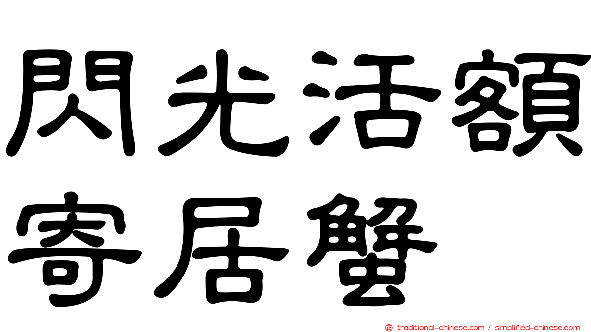閃光活額寄居蟹