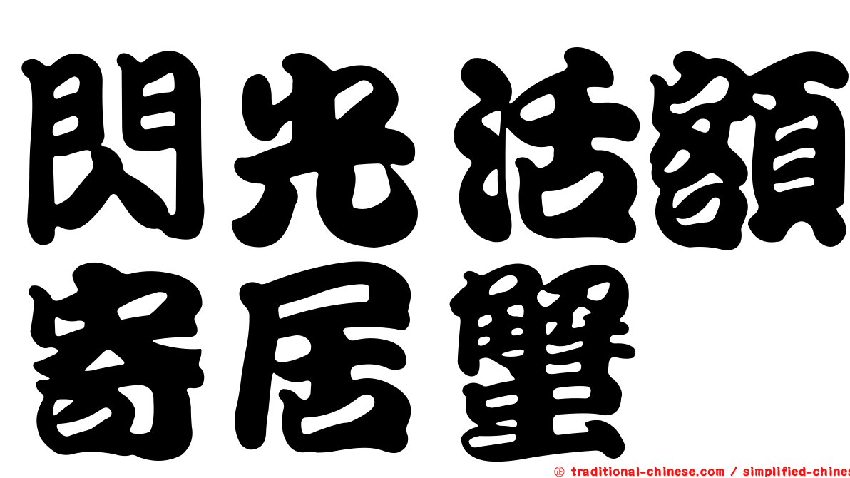 閃光活額寄居蟹
