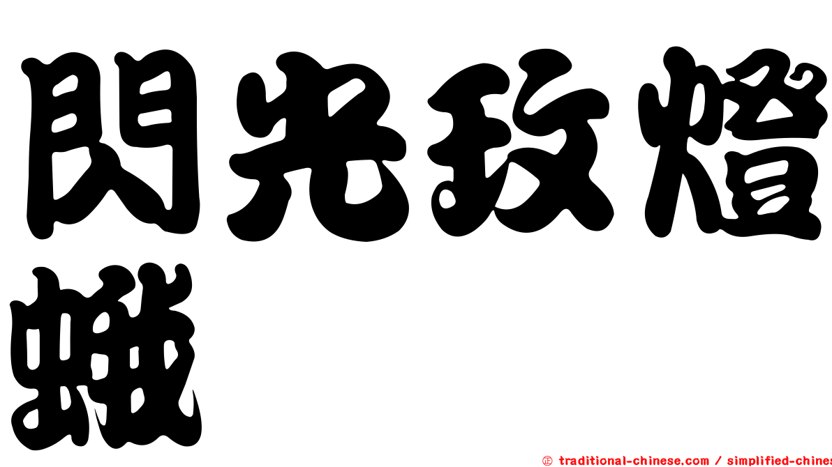 閃光玫燈蛾
