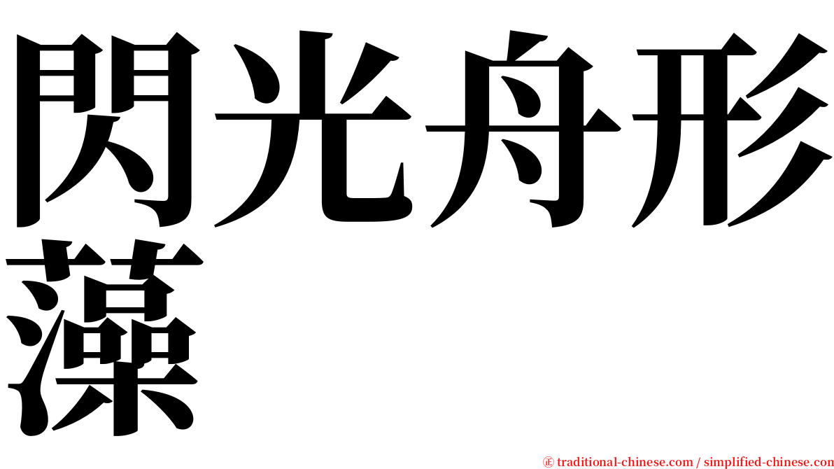 閃光舟形藻 serif font