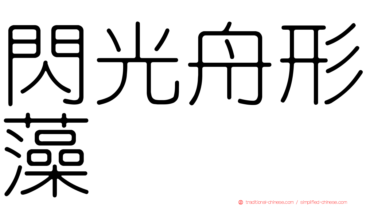閃光舟形藻