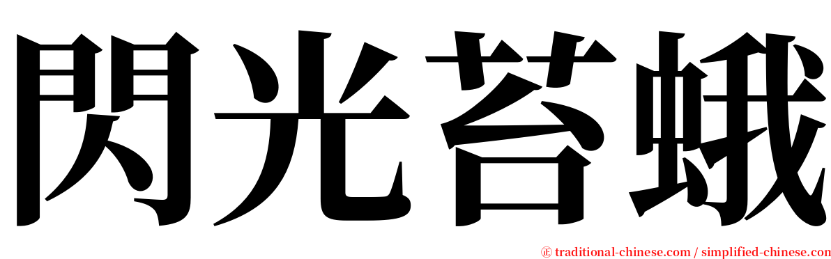 閃光苔蛾 serif font