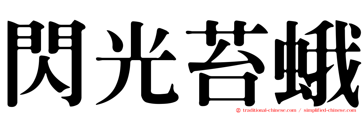 閃光苔蛾