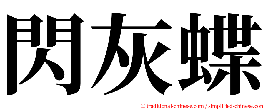 閃灰蝶 serif font