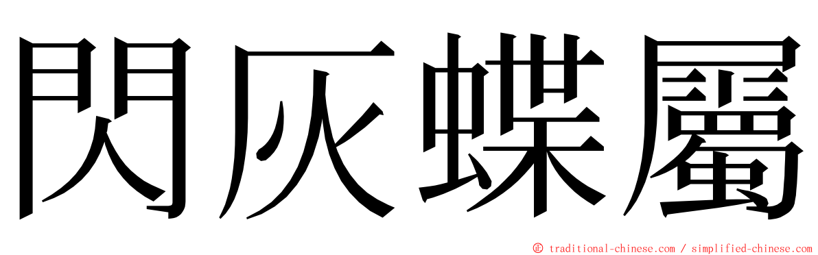 閃灰蝶屬 ming font