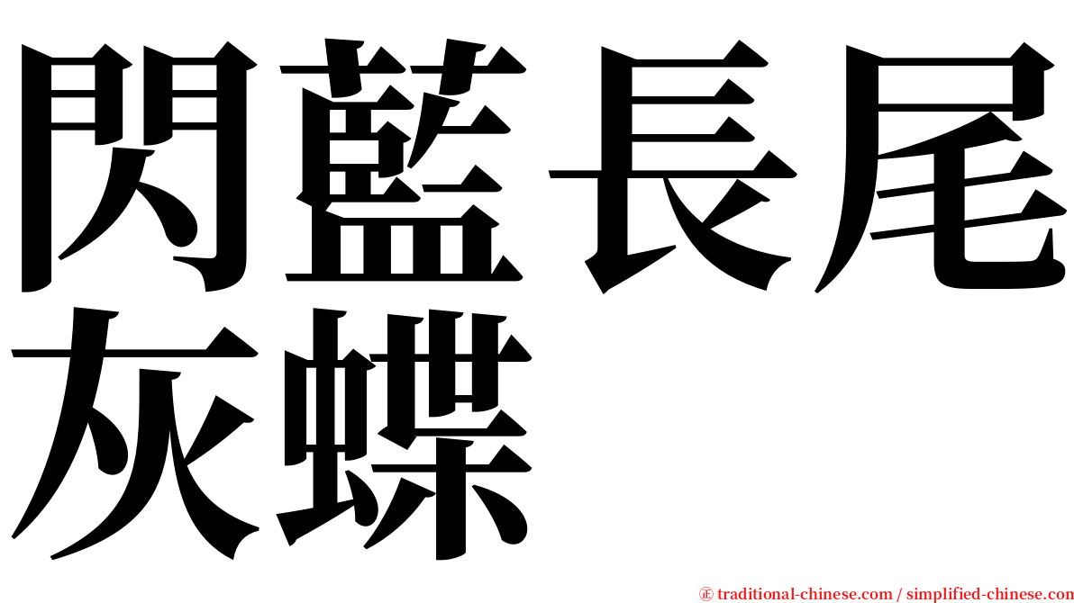 閃藍長尾灰蝶 serif font