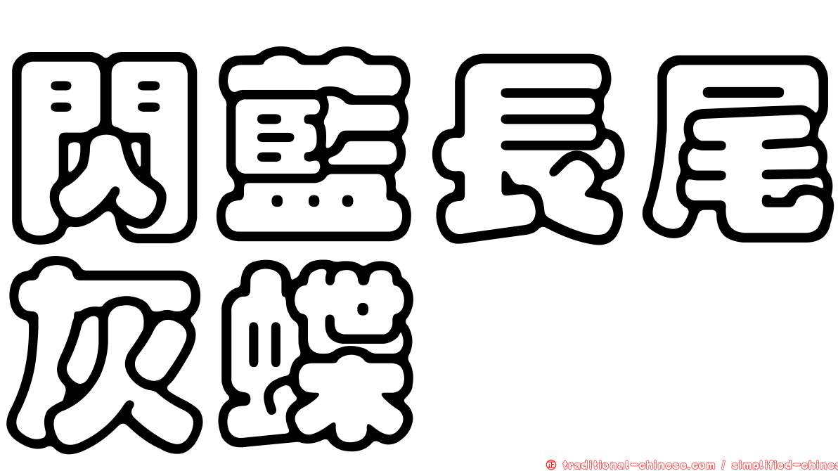 閃藍長尾灰蝶