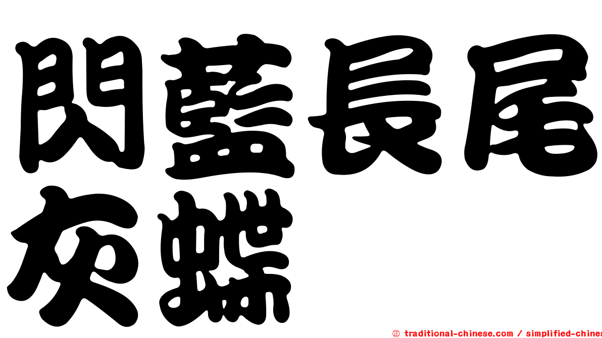 閃藍長尾灰蝶