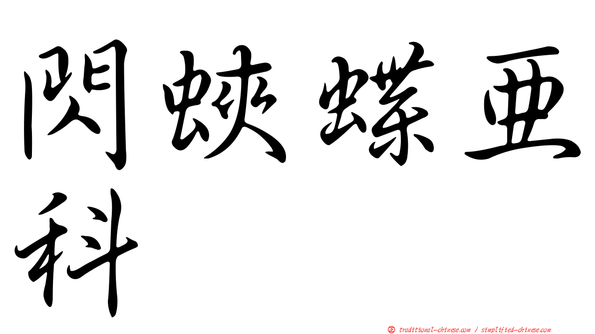 閃蛺蝶亞科