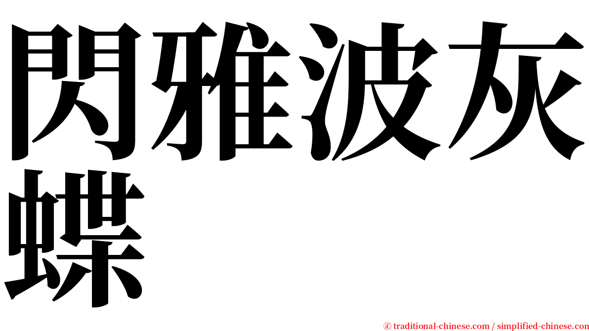 閃雅波灰蝶 serif font