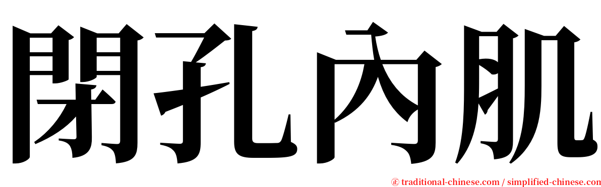 閉孔內肌 serif font