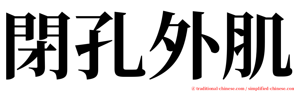 閉孔外肌 serif font