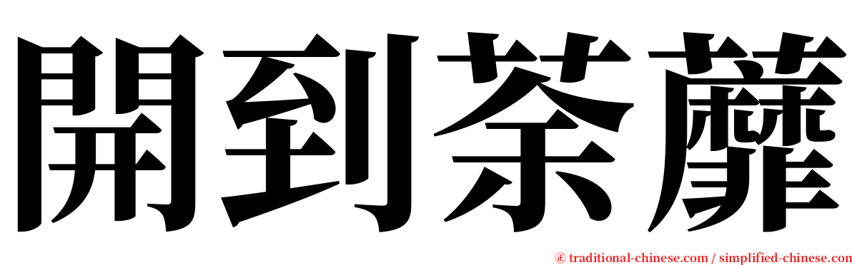 開到荼蘼 serif font