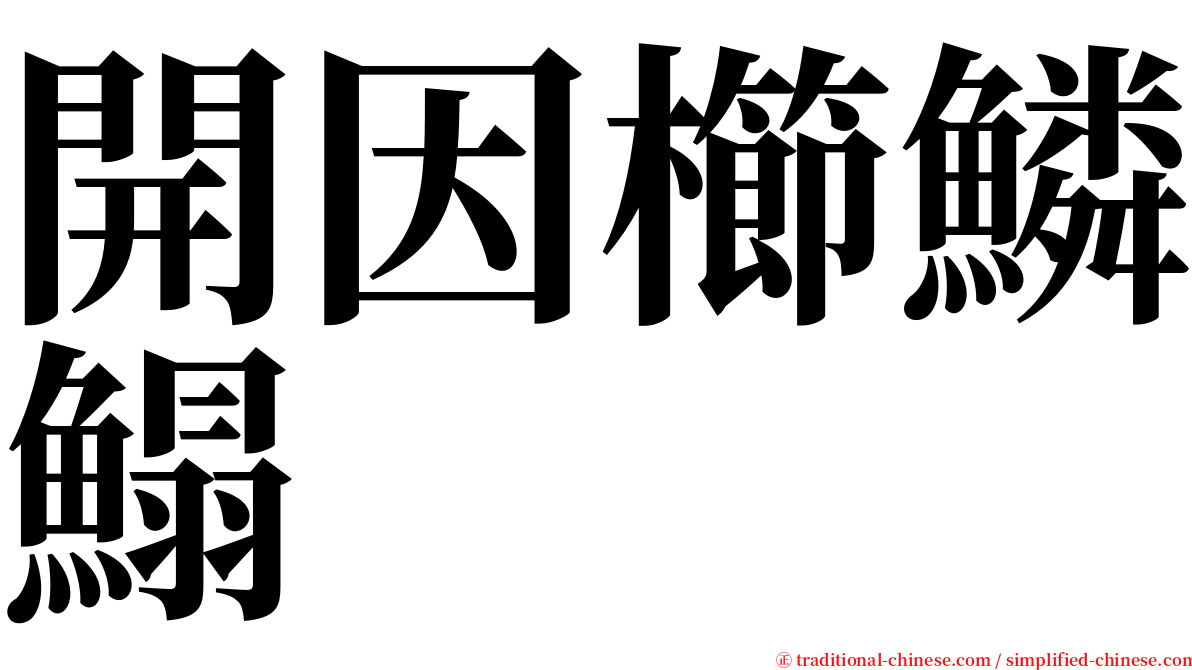 開因櫛鱗鰨 serif font