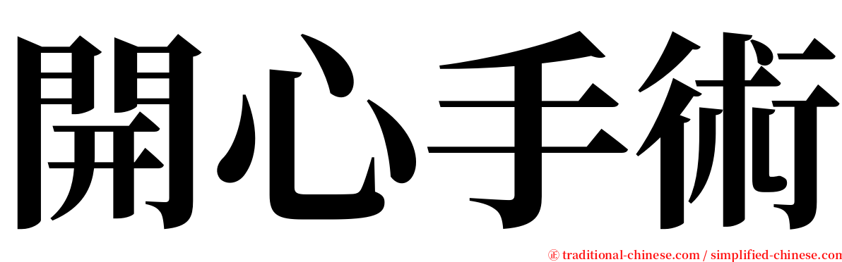 開心手術 serif font