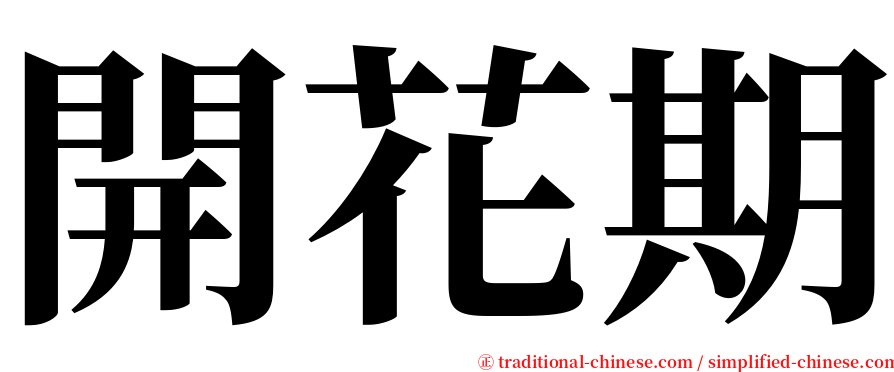 開花期 serif font