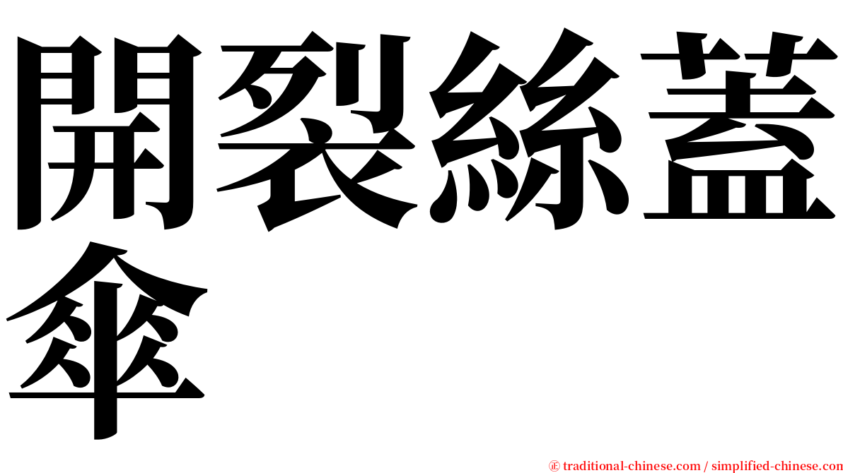 開裂絲蓋傘 serif font